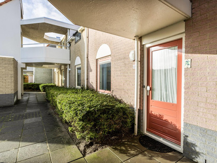 Zaete 33