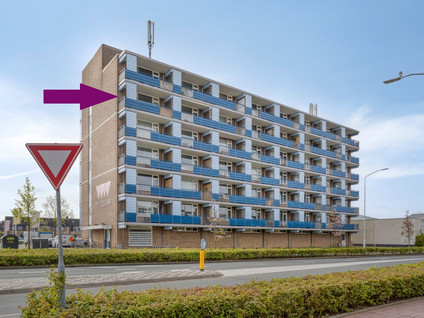 Gerard Dousingel 66