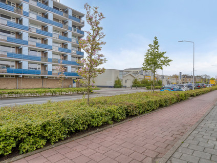 Gerard Dousingel 66