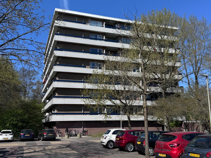 Marne 16