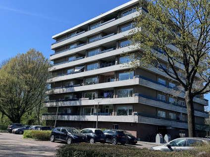 Marne 16