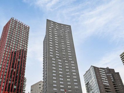 Wijnbrugstraat 299