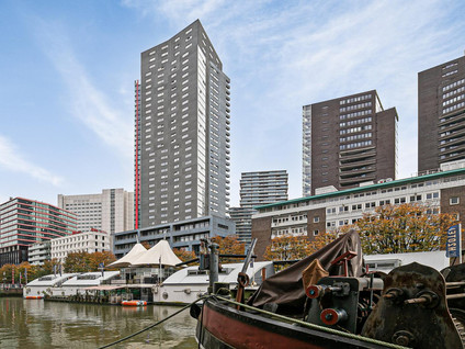 Wijnbrugstraat 299