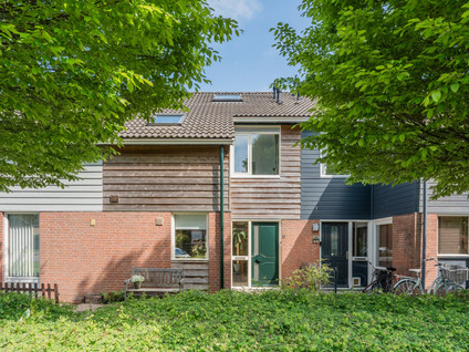 Hoornblad 6