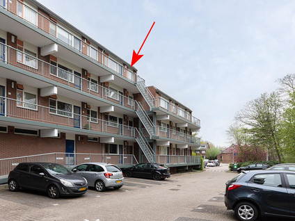 Nedersassen 61