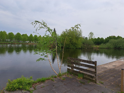 Lange Burchwal 16