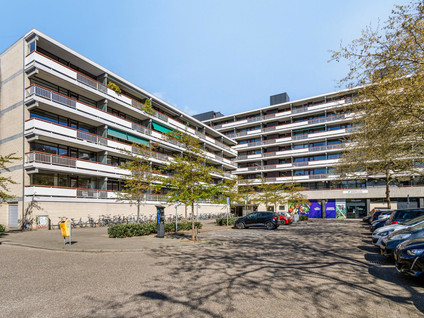 Bomanshof 41
