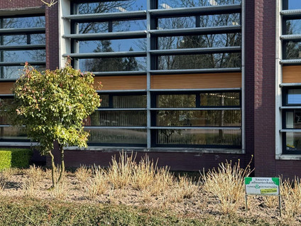 Bredaseweg 65