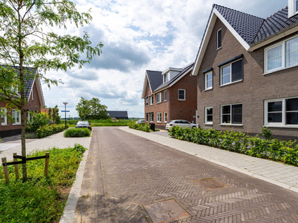 Roem Van Altena 12