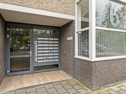 Forellendaal 786