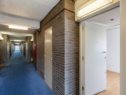 Vijf Meilaan 168