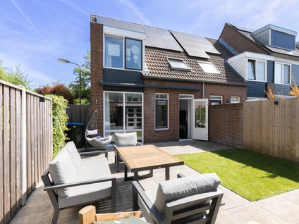 Pijlkruid 35