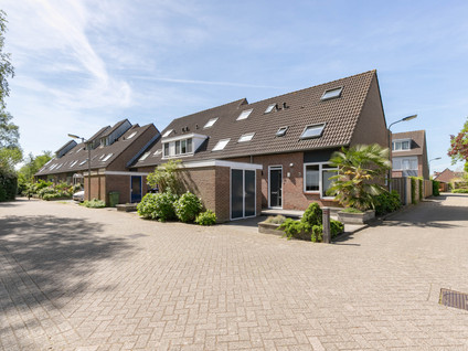 Pijlkruid 35