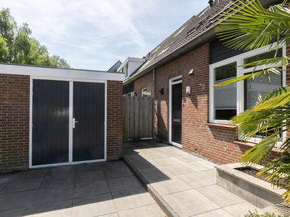 Pijlkruid 35