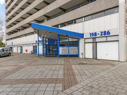 Tjaarda 226