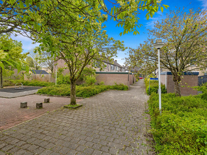 Domela Nieuwenhuisstraat 12