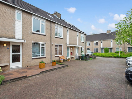 Runderweide 5
