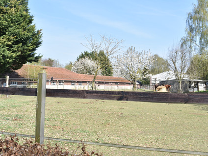 Diergaarderweg 7