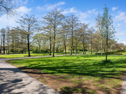 Stadhoudersweg 160 01L