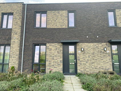 Ottertjes 29