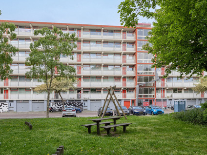 Jacques Urlusplantsoen 203