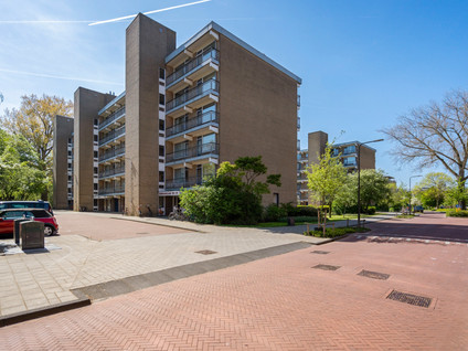 Boerhaavelaan 251