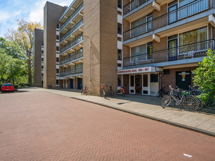 Boerhaavelaan 251