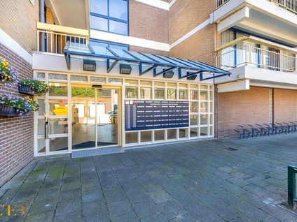 Noord Buitensingel 81