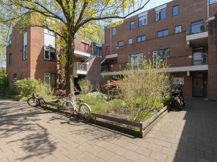 Stuifzwam 138