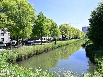 Boris Pasternakstraat 461