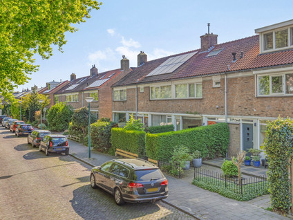 Korenbloemlaan 81