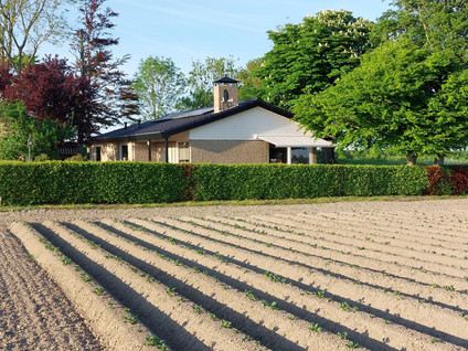 Kleinedijk 1