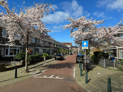 Gloriantstraat 20