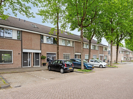 Drimmelenstraat 21