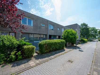 Struikroospad 8
