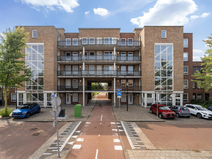 Merantihout 50