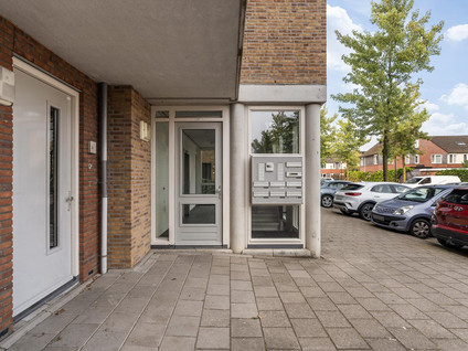 Merantihout 50
