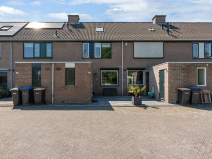 Schildmos 44