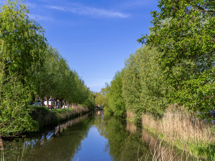 Burgemeester Houwingsingel 107