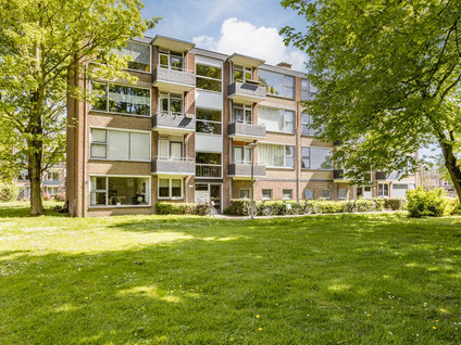 Schutkenstraat 19