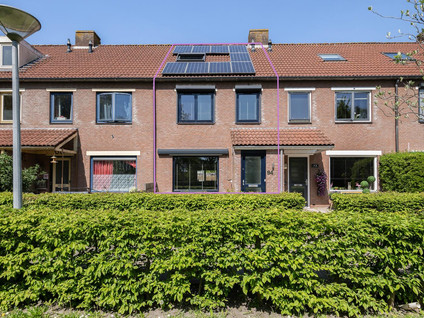 Hoefblad 94