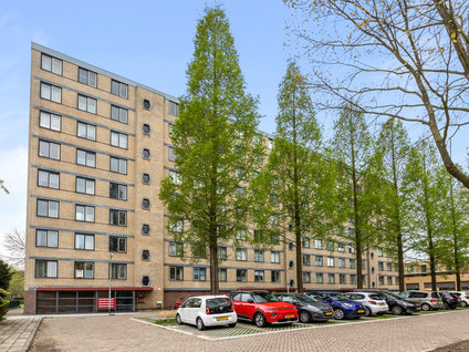 Ariaweg 87