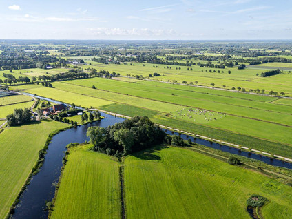 Loevestein 6
