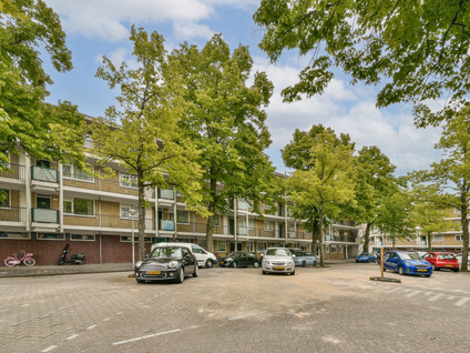 Dikninge 133