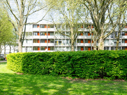 Het Hoogt 205