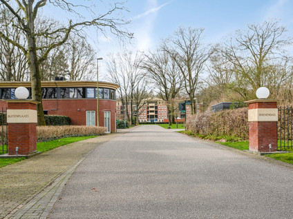 Rhenendael 104
