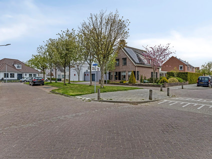 Maisakker 2