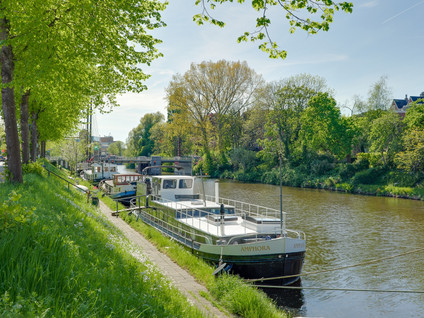 Trompsingel 1007