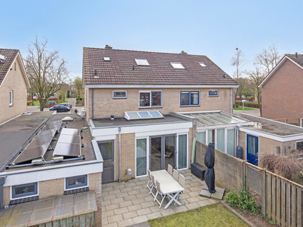 Kievitsbloem 10