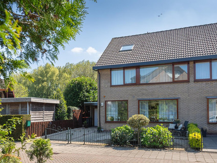 Roerdomp 1
